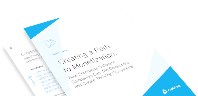 White Paper Enterprise Developer Ecosystems Creating A Path To Monetization